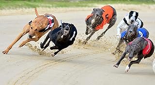 THE “THREE SUPREMES” GREYHOUND RACING SYSTEM FOR COMBINATION FORECASTS & TRICASTS