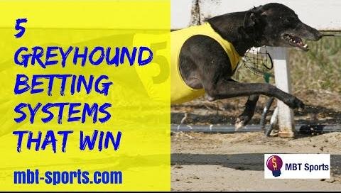 Expert Greyhound Tips for Wentworth Park Races, May 22nd