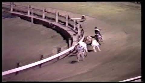 Exciting Greyhound Racing Showdowns at Wentworth Park Saturday
