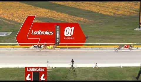 Thrilling Greyhound Racing at Ladbrokes Q1 Lakeside Track