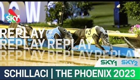 Phoenix Night at The Meadows: Greyhound Racing Spectacle Unveiled