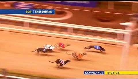 2025 Sandgroper Race: Greyhound Champions Set for Thrilling Contest